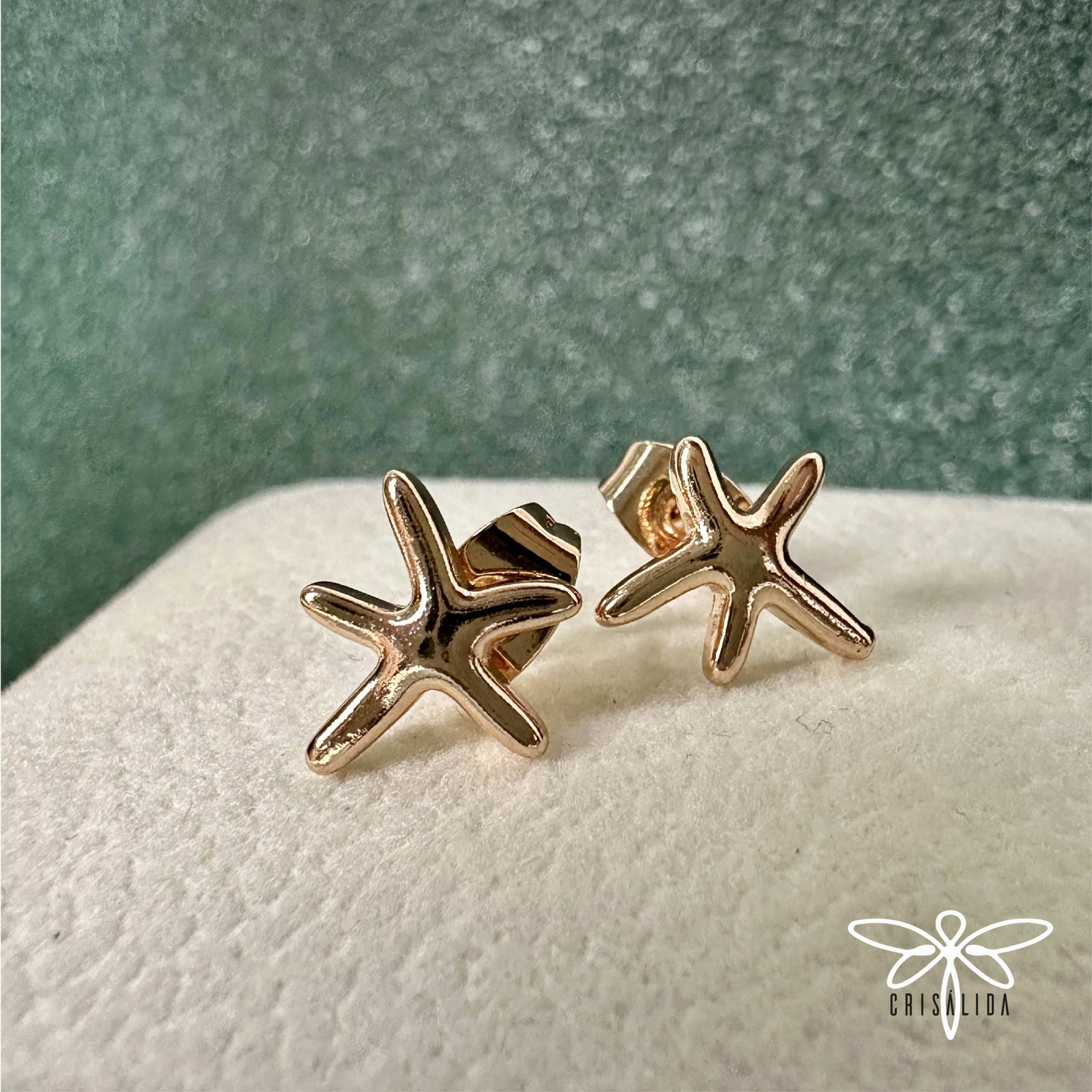 Aretes de estrella de mar