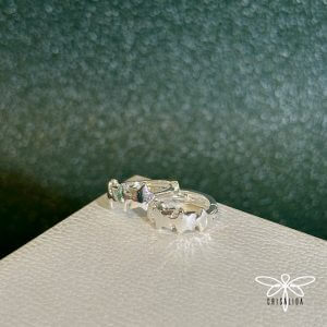 Argollas 4 estrellas