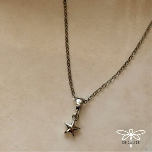 Collar estrella plateada mediana