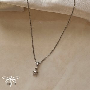 Collar estrella plateada pequeña